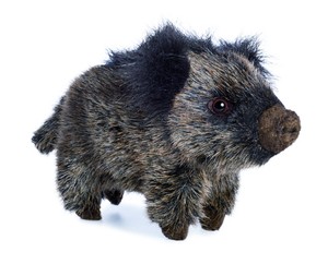 cinghiale peluche