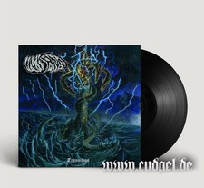 INISANS - transition LP black