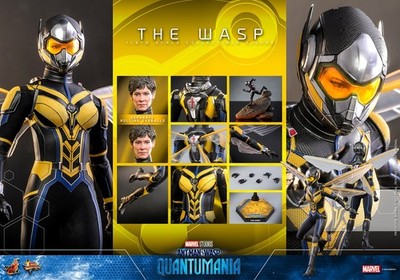 Hot Toys The Wasp 1:6 Scale Figure Ant-Man Quantumania Evangeline Lilly MMS691
