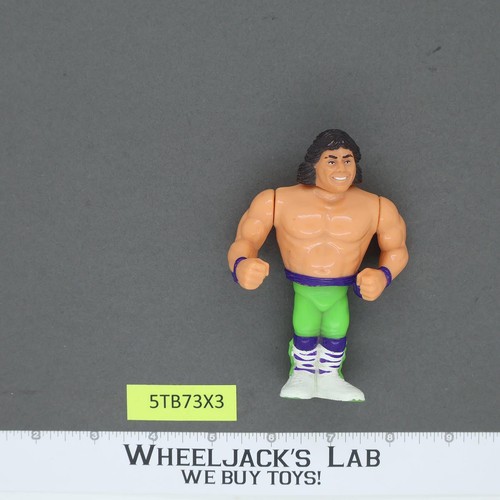 Marty Jannetty The The The The The The The The The...