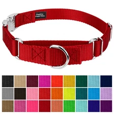 Country Brook Petz® Heavyduty Nylon Martingale with Premium Buckle