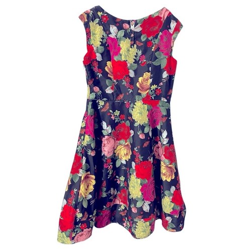 Baker By Ted Baker Girls Floral Garden Dress 8 Roses Fit and Flare Lined - Picture 2 of 7