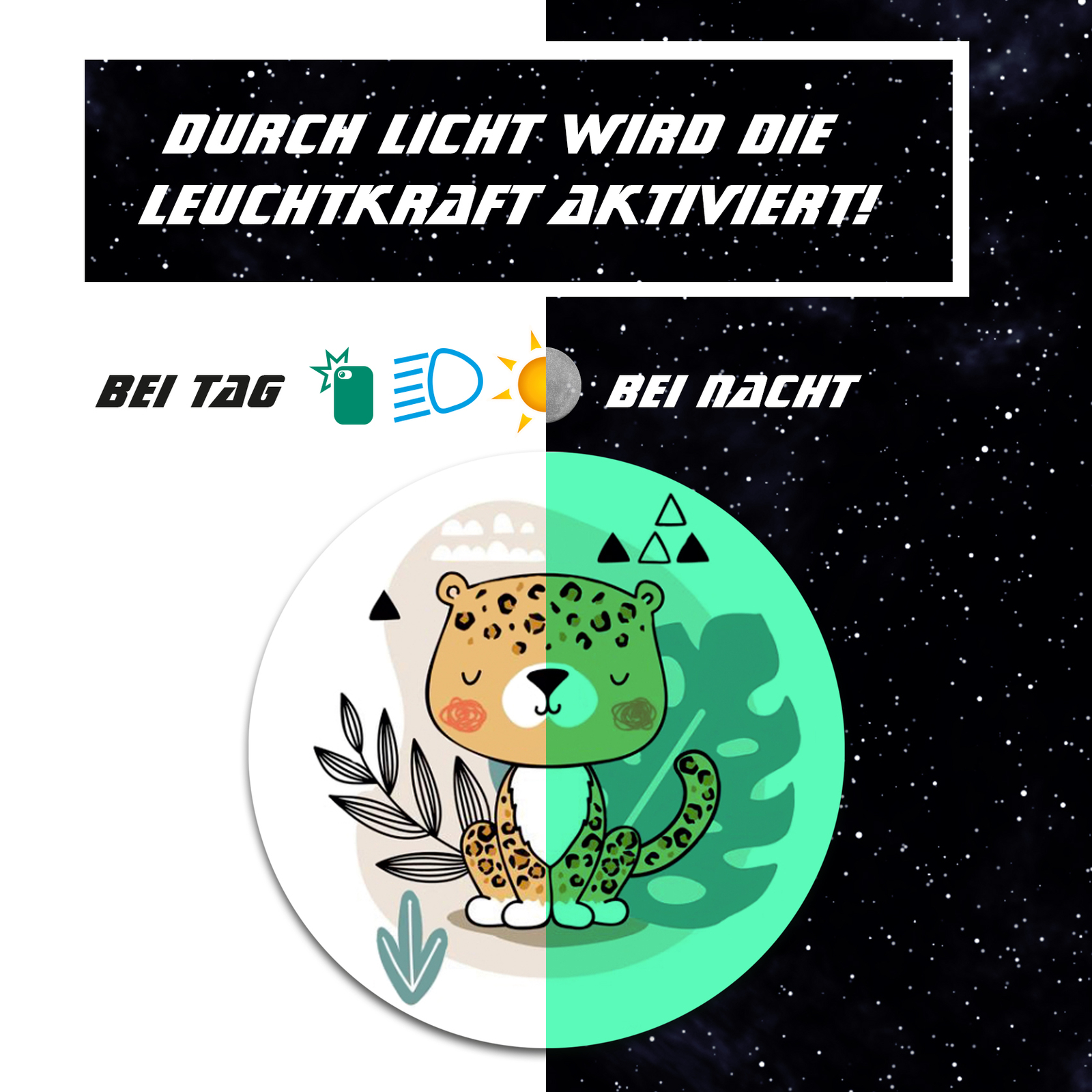 Bild 1 von 8