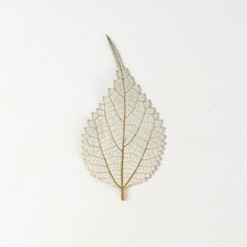 M T 12PCS Real Pressed Dry leaves, floral supply for art candle FSS34