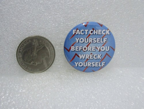 Fact Check Yourself Before Your Wreck Yourself Button Pin