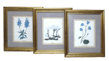 Vintage Wall Art Botanical Prints Blue Florals 9.5X8.5 Gold Wood Framed Set 3
