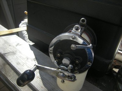 Daiwa Sealine 600H Deep Sea Reel Very for sale online | eBay UK
