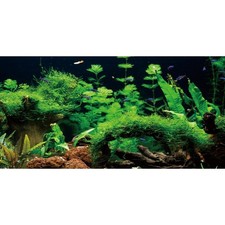AWERT 24x16 inches River Bed Lake Fish Tank Background Seagrass Aquarium Ba...
