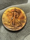 1943 Walking Liberty Silver Half Dollar Gem BU+ Red Hue Toned PQ Gem  ✨