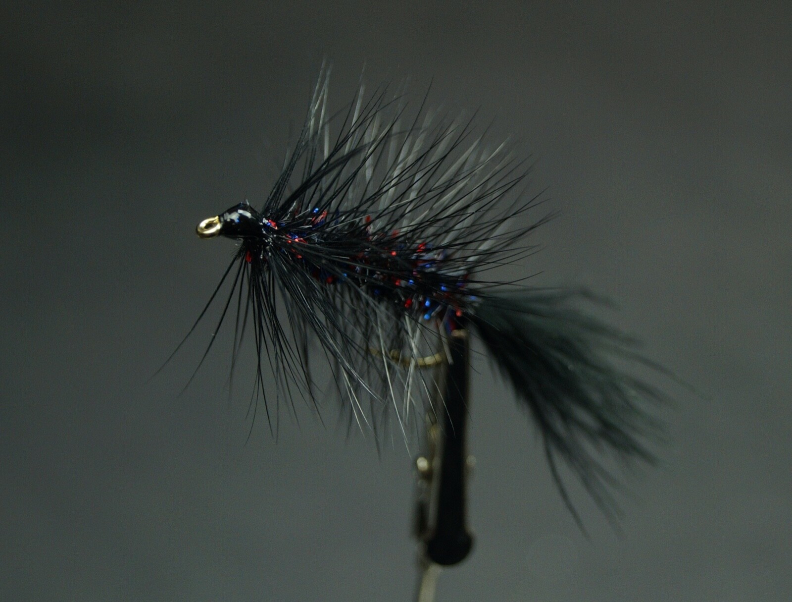 Picture 5 of 6