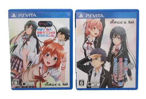 USED Berserk Musou PS Vita JAPAN Tetsted