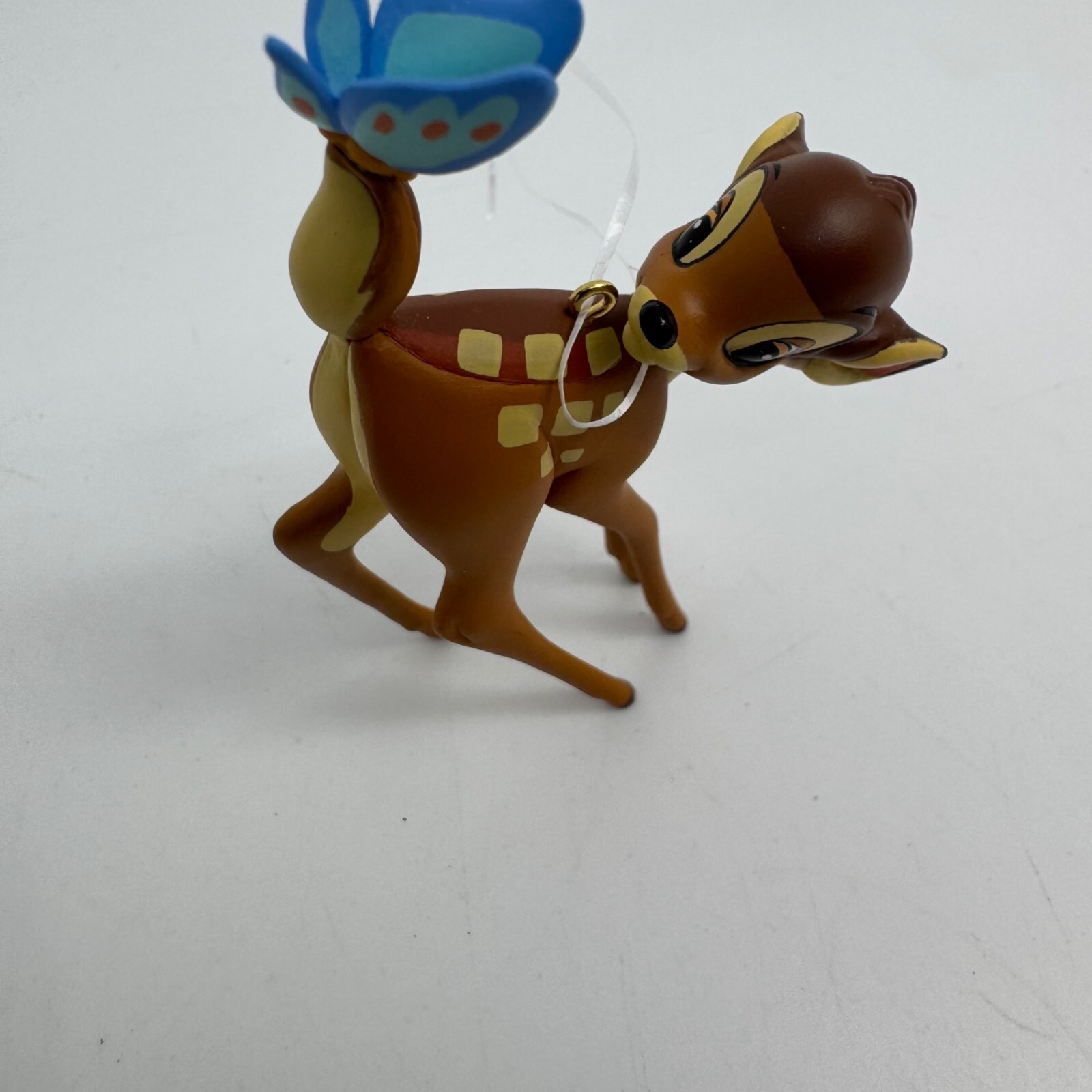 Picture 6 of 15
