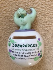 Personalised name Sean Seanodocus Dino Mates Dinosaur Money Jar Bank Box Pot