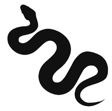 Snake Slithering Vinyl Die Cut Car Decal Sticker