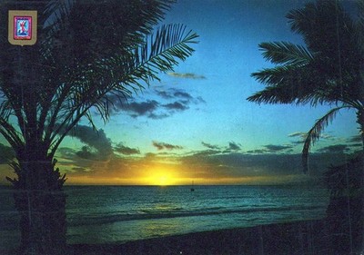 España Los Cristianos Puesta de Sol Tropical Con Palmeras Y Océano #PBH593