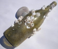 Sea Glass, Wine Bottle with Barnacles on it