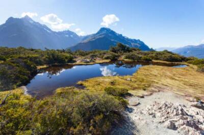 Wandbild: Spitze des Key Summit Trail, Fiordland, Südinsel, Neuseeland [...]