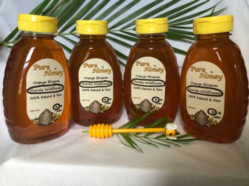 4-1 lb jars RAW Orange Blossom Honey Pure Natural RICH FLAVOR, fresh supply - Picture 6 of 8