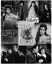 BRIDES OF DRACULA 1960 WWC COLLAGE MOVIE PHOTO PETER CUSHING YVONNE MONLAUR