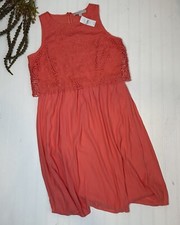 Loft Coral Lace Dress Women’s 8 Medium M NWT New