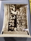 1942 Philadelphia Athletics Bench Hal Wagner Cleveland Indians Press Photo — photo 9