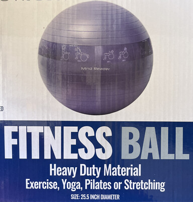 #ad FREE SHIPPING Mind Reader Heavy Duty Fitness Ball Foot Pump Included Exercise $24.99