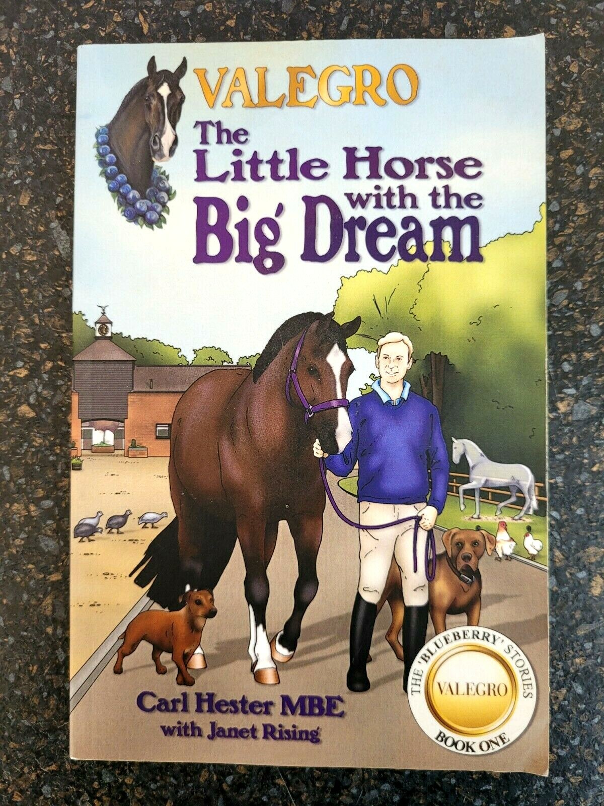 Valegro - The Little Horse with the Big Dream by Carl Hester MBE, Blueberry Bk 1