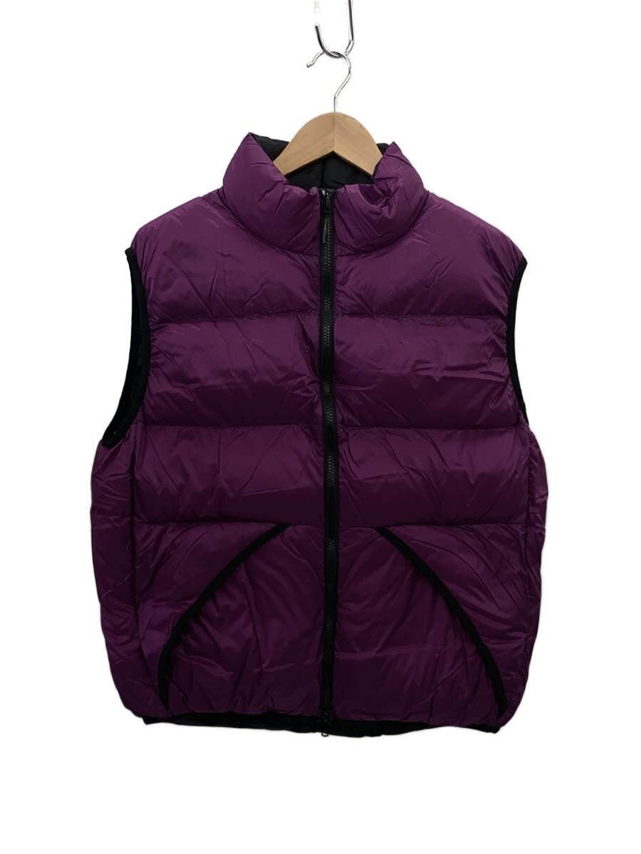 Taion Down Vest/M/Nylon/Pup 12712