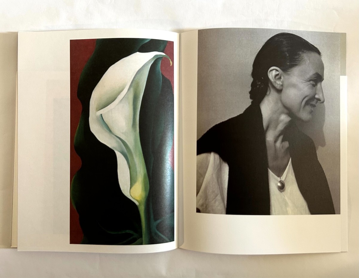 GEORGIA O'KEEFFE COMME des GARCONS S/S 2025 PROMO ART