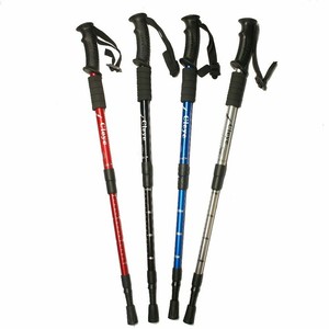 ebay walking poles