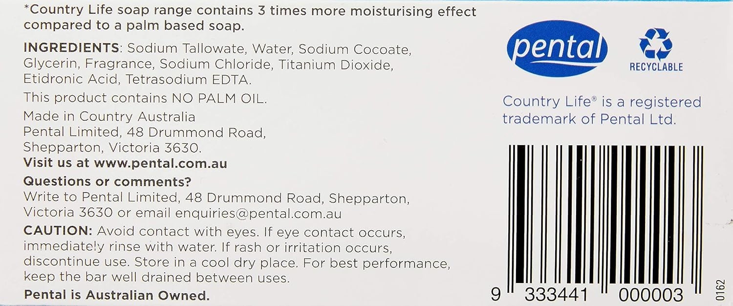Slide 11