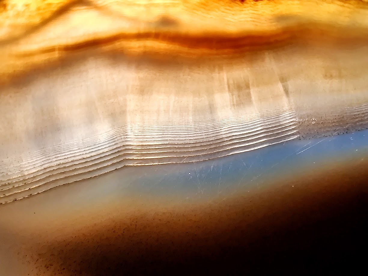 Montana Agate Polished Slab: EPIC Parallax Shadow Banding, TOP-SHELF MOVEMENT!