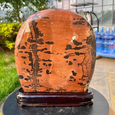 5.4LB Beautiful Natural Chinese Dendritic Limestone Picture Stone Guohua - Rare