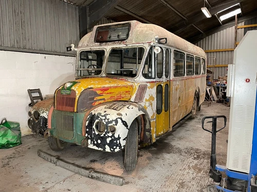 1953 London Transport Guy Special Bus - GS19 MXX319 - Picture 1 of 18