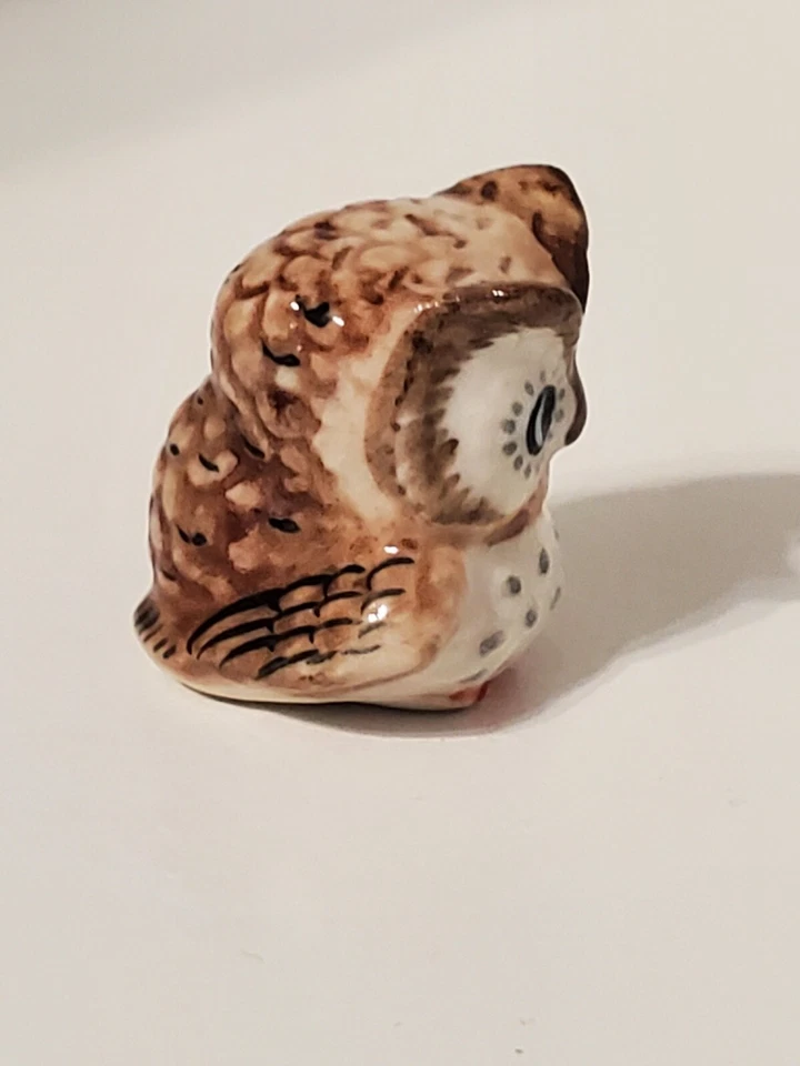Figurine Chouette / Hibou : Hibou Juvenile aux yeux bleus / Young Owl Blue Eyes - Photo 4/4