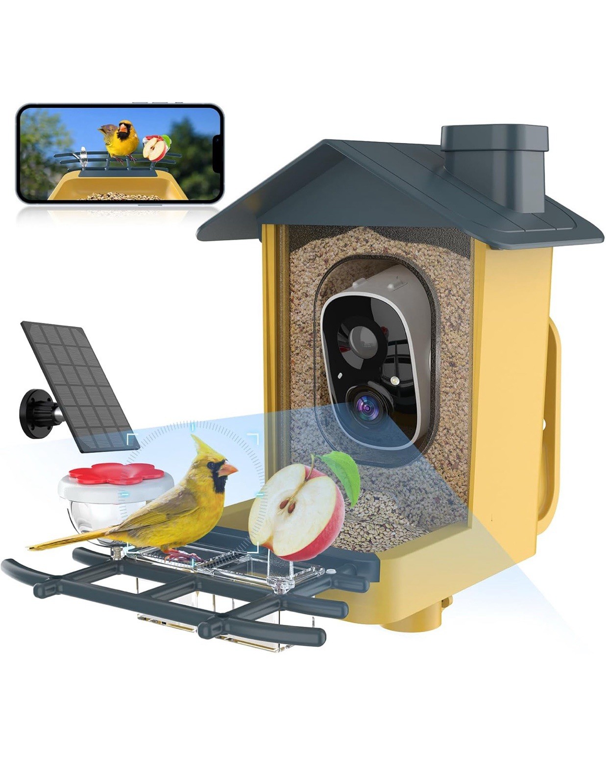 oddkont Bird Feeder with Camera - Smart Bird Feeder Camera with AI Identify Bird