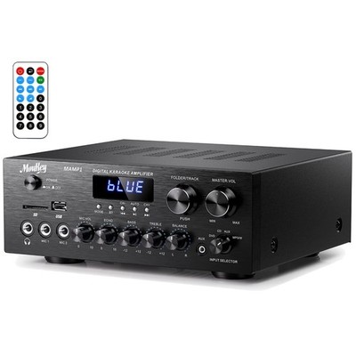 Professional 2.0 Channel Power Amplifier with EQ Controls