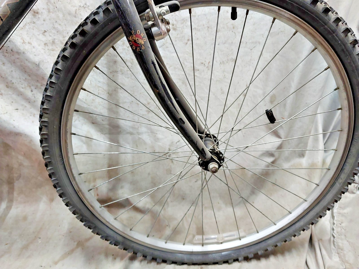 VTT Schwinn Frontier 1995 – Hardtail Acier – Taille X-Large 21" – Vert – Projet USA