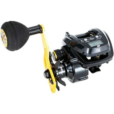 Abu Garcia Saltwater Reel MAX DLC P Right Handed IN BOX | eBay