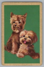 P) ONE Single Swap Playing Card Artistic MCM Dog Canine Vintage King Of Spades