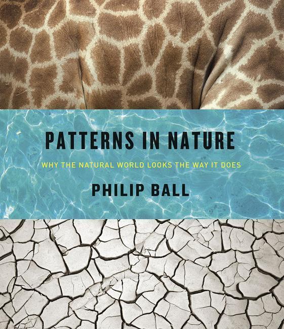 Thumbnail - Patterns In Nature, Philip Ball