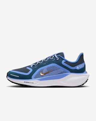 Nike Pegasus 41 GORE-TEX Women's Waterproof Road Running Shoes FQ1357-400