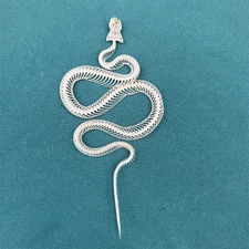 Animal Taxidermy 1pcs Real Snake Skeleton Skull Animal Specimens About 35-40cm