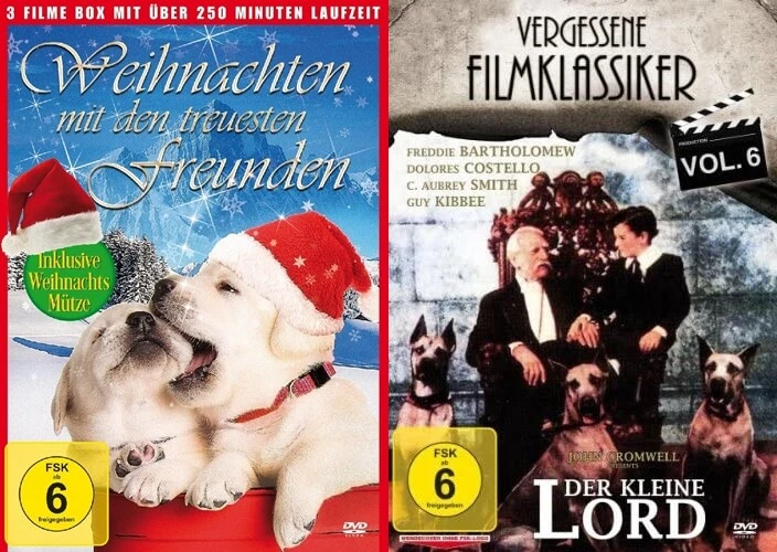 Bild 8 von 9