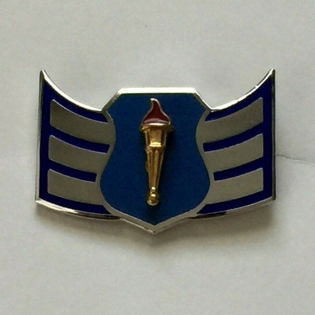 US Air Force USAF ROTC Torch & Shield Lapel Pin 3 Stripes Sergeant | eBay