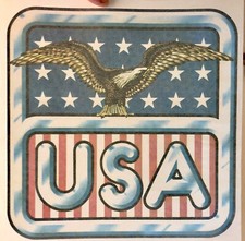 Original Vintage USA United States Of America Iron On Transfer