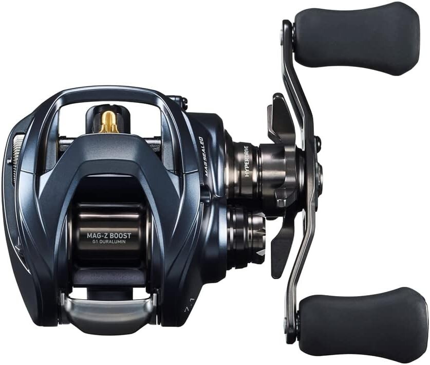 Buy Daiwa 23 STEEZ A II TW 1000H 7.1 Right Handed Casting Reel