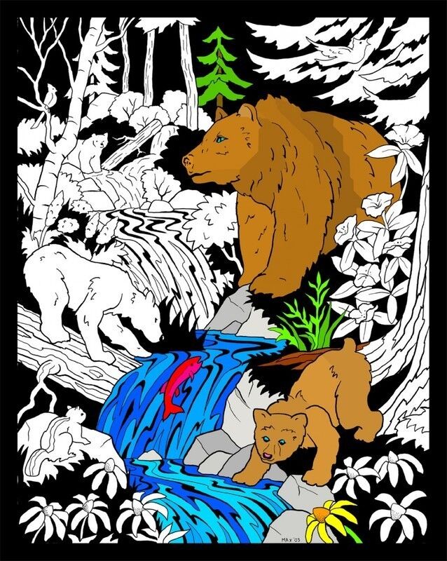 Bears - Large 16x20 Inch Fuzzy Velvet Coloring Poster