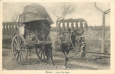 Rome, Italy, Sulla Via Appia, Horse and Cart, Brunner No. 18716-a