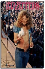 Robert Plant Poster 24x36 Inch Photo Rare Print Wall Art Print RP01